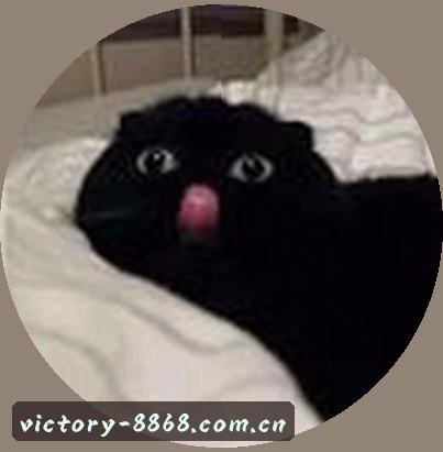 刘娜